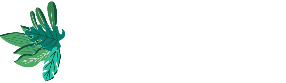 YVFiduciaire-logo